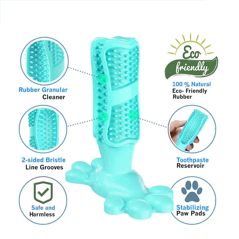 Teethy - מקל תעסוקה דנטלי