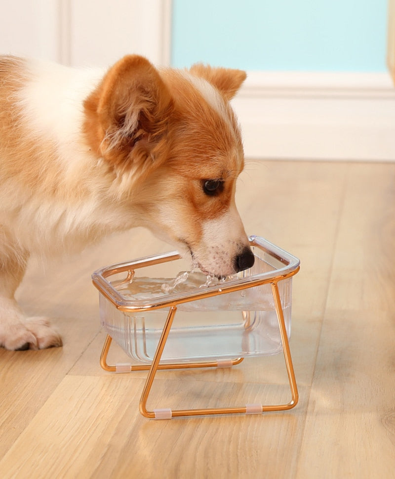 ™FeederBowl - מתקן קערות לאוכל ושתייה