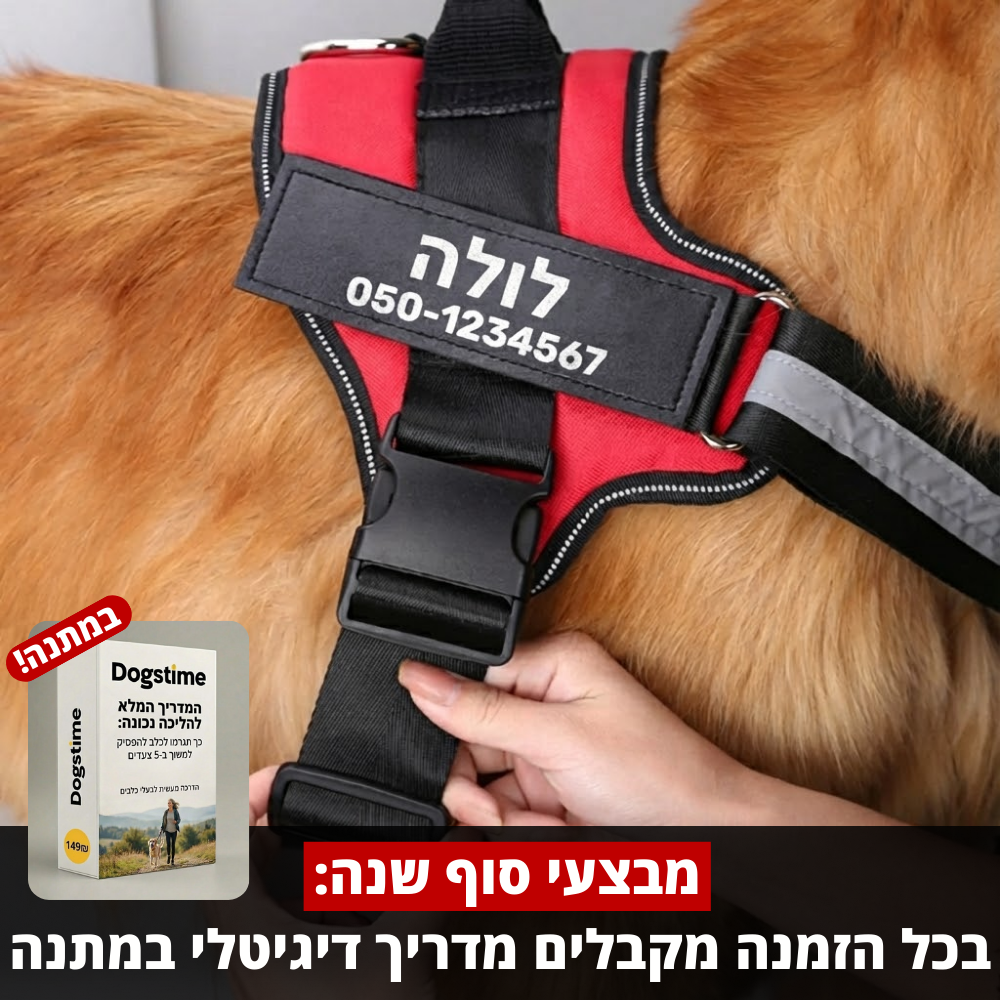 ©SafeDog | רתמה מונעת משיכות מותאמת אישית
