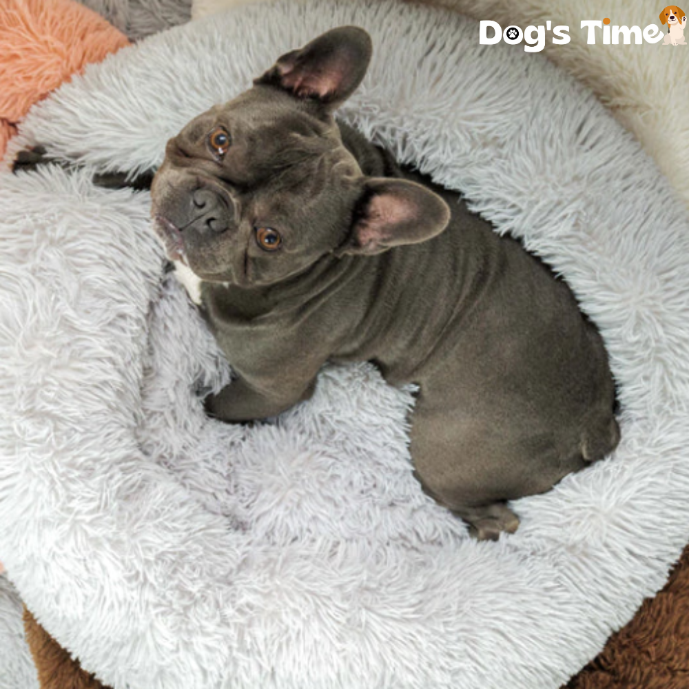 ™Donut Bed - מיטה מפנקת