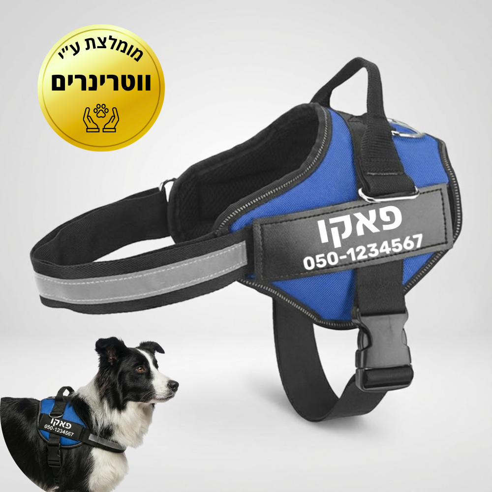 ©SafeDog | רתמה מונעת משיכות מותאמת אישית