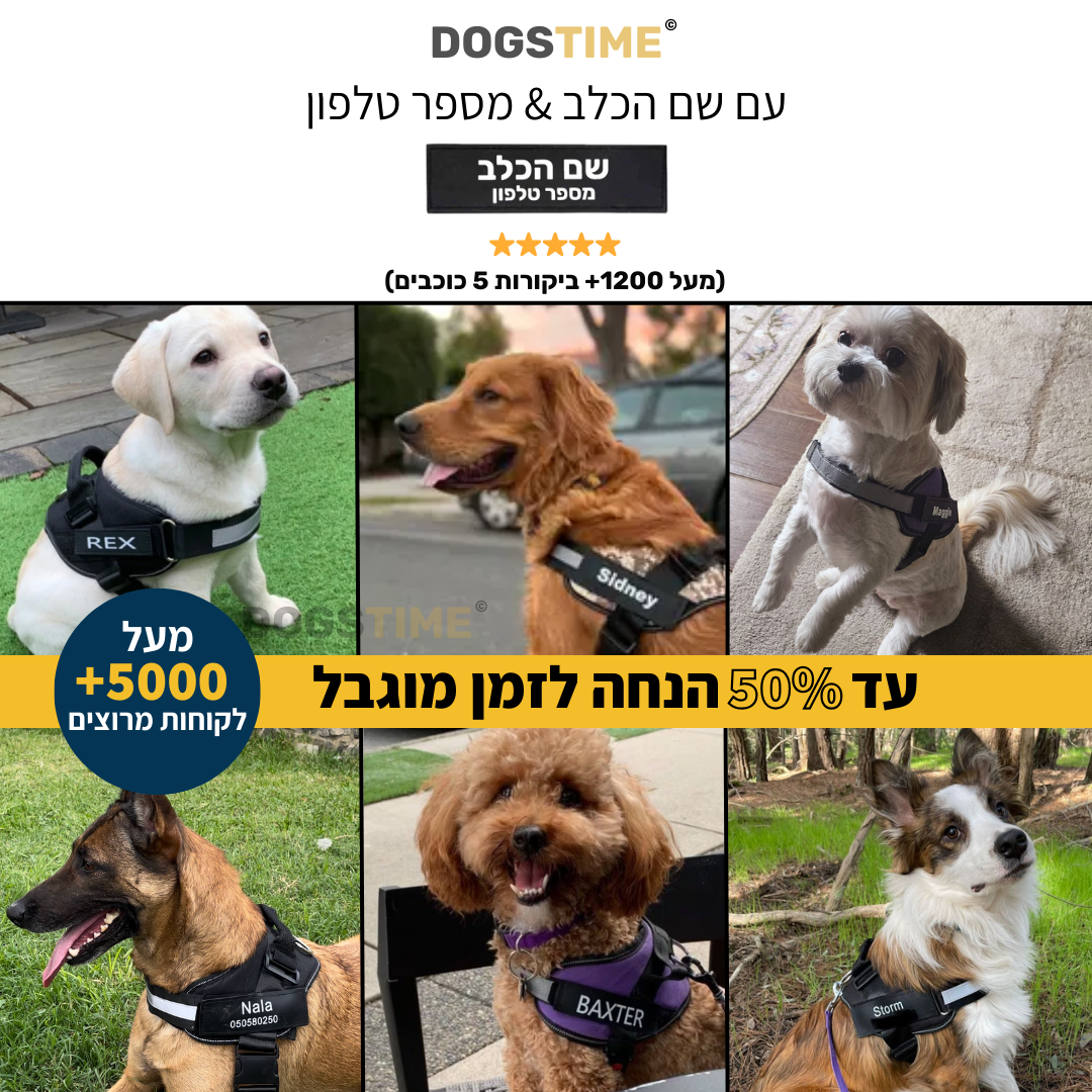 ©SafeDog | רתמה מונעת משיכות מותאמת אישית