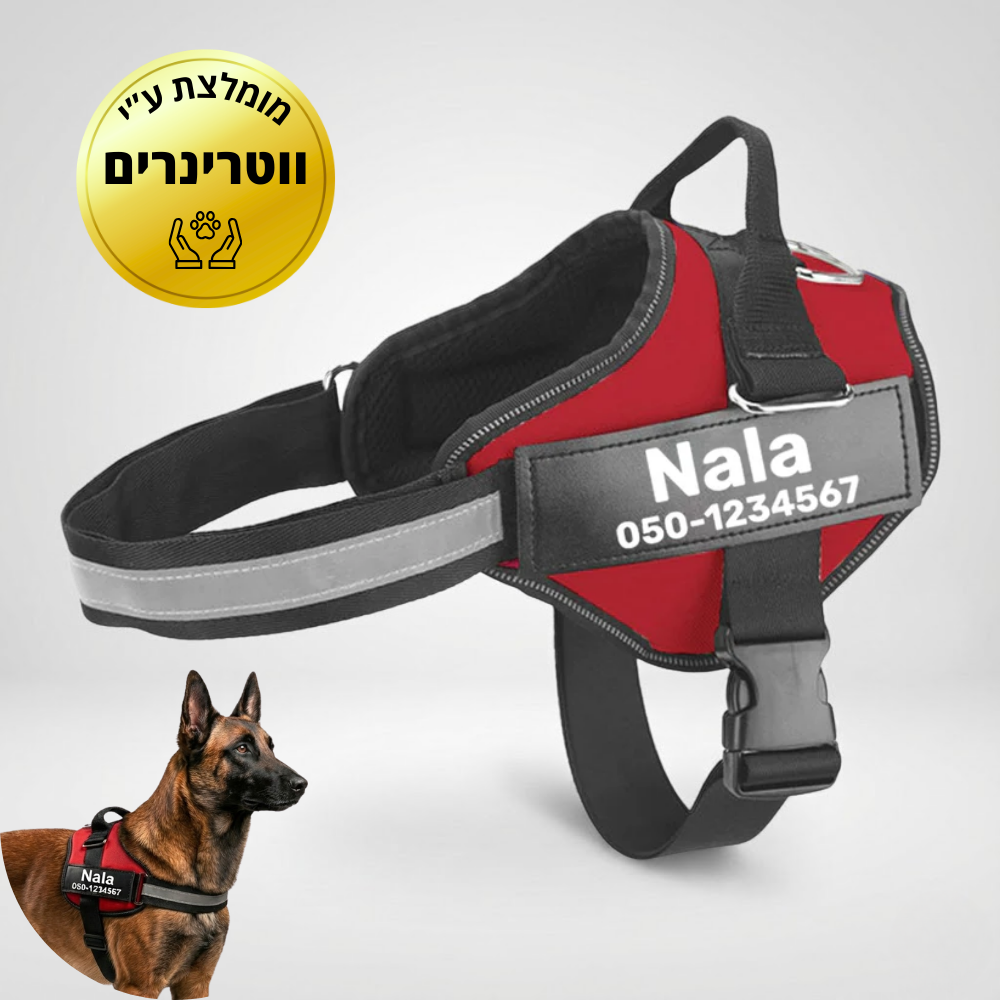 ©SafeDog | רתמה מונעת משיכות מותאמת אישית