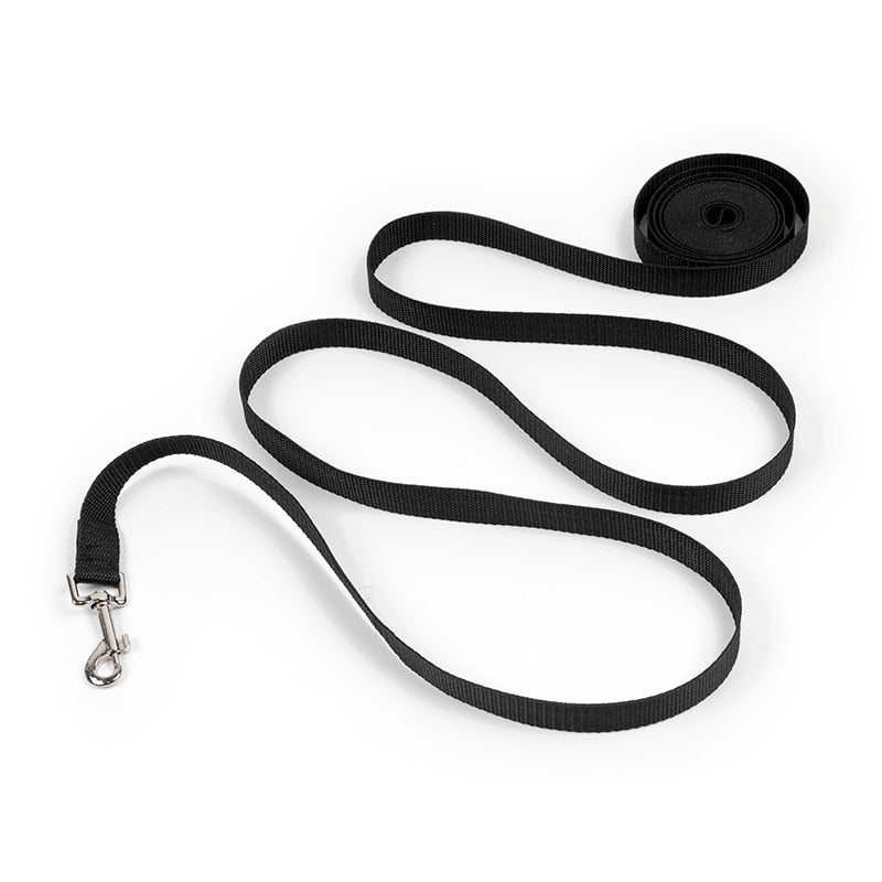 ™TrainerX -  רצועת אילוף ארוכה וחזקה