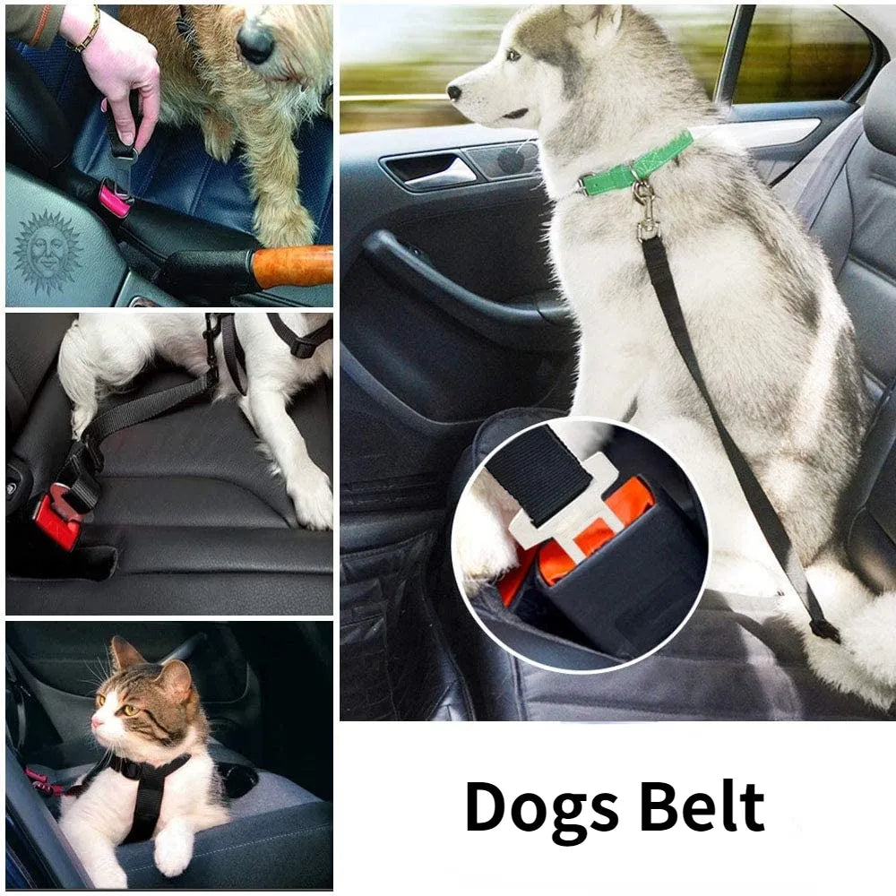 SafeBelt - חגורת בטיחות לכלבים
