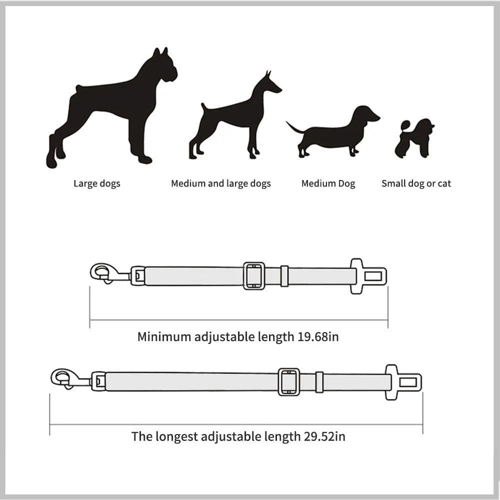 SafeBelt - חגורת בטיחות לכלבים