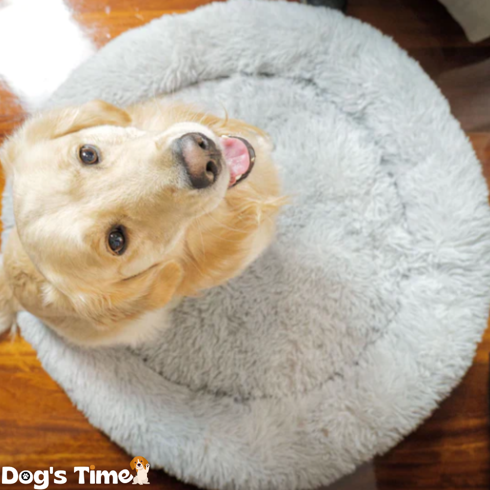 ™Donut Bed - מיטה מפנקת