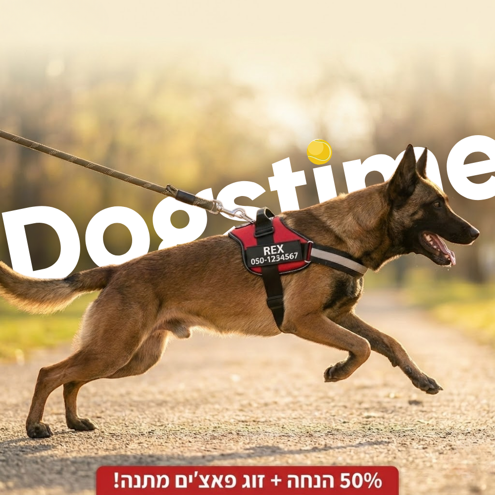 ©SafeDog | רתמה מונעת משיכות מותאמת אישית