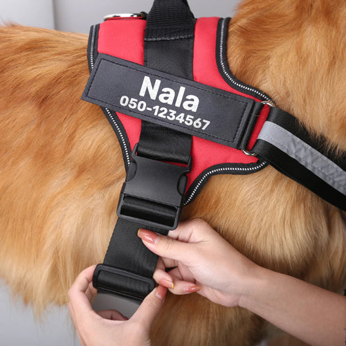 ©SafeDog | רתמה מונעת משיכות מותאמת אישית