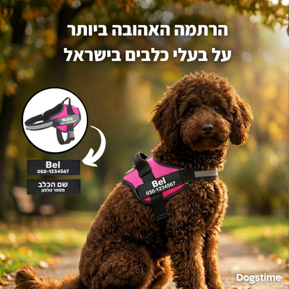 ©SafeDog | רתמה מונעת משיכות מותאמת אישית