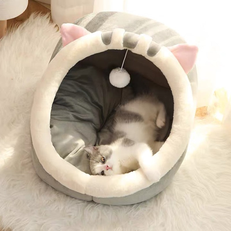 ™IglooBed - מיטה מושלמת לכלבים קטנים ולחתולים