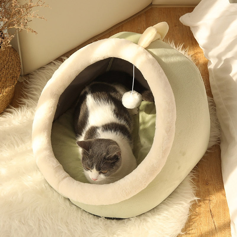 ™IglooBed - מיטה מושלמת לכלבים קטנים ולחתולים